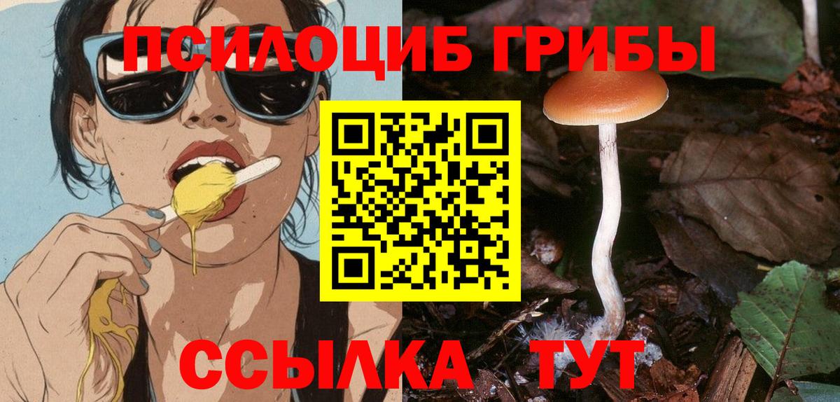 Галлюциногенные грибы Cubensis  Псилоцибиновые грибы мицелий  Наро-Фоминск  Вход с VPN 
